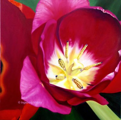tulpenerotik-ii